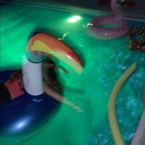 Meet your Posher, Lucy